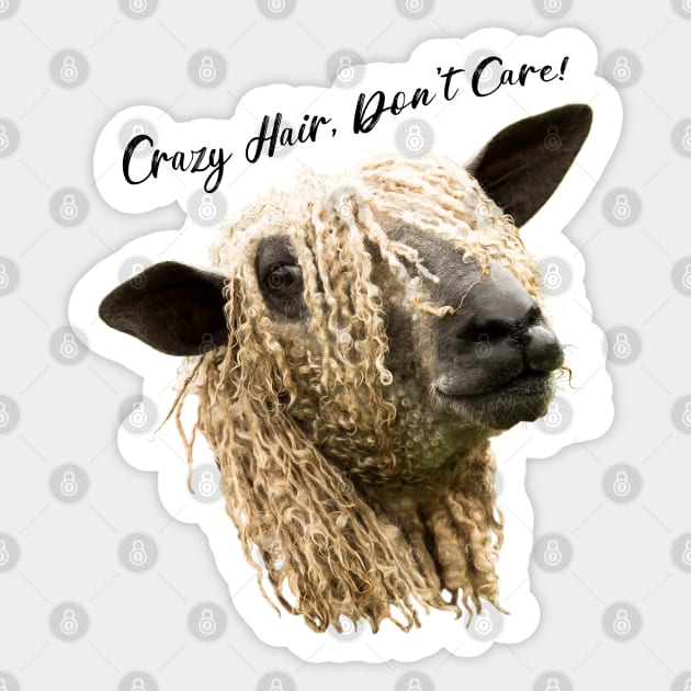 Crazy Hair, Don't Care Sticker by Jane Stanley Photography